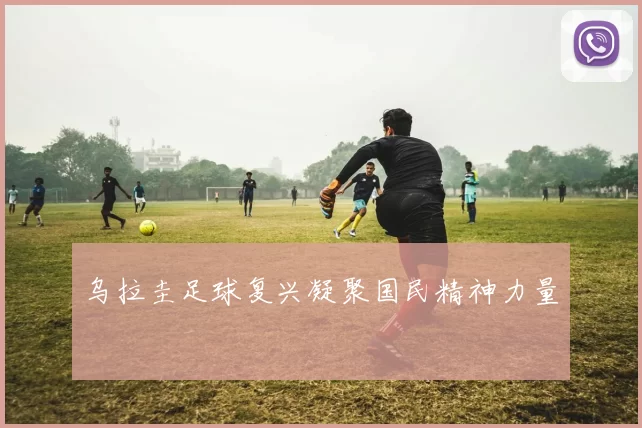 乌拉圭足球复兴凝聚国民精神力量
