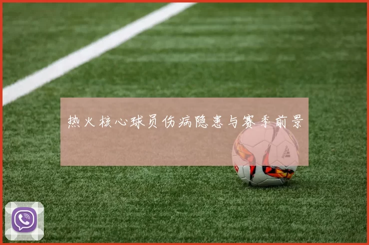 热火核心球员伤病隐患与赛季前景