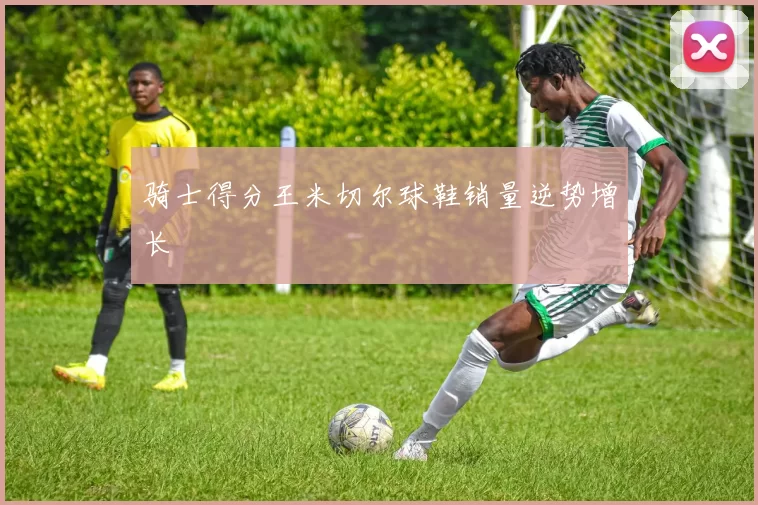 骑士得分王米切尔球鞋销量逆势增长