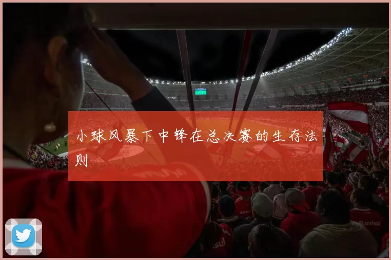 小球风暴下中锋在总决赛的生存法则